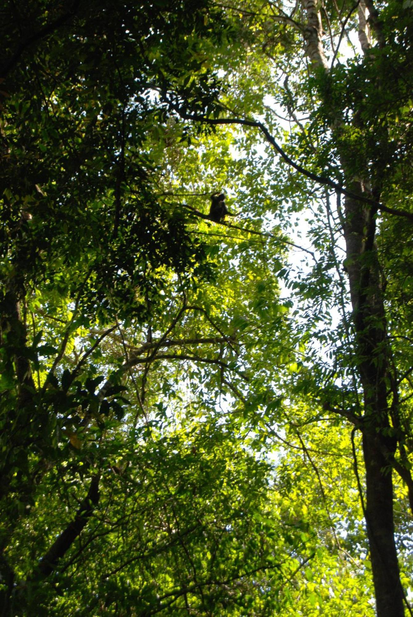 Finca Vallescondido El Caobano Exterior foto